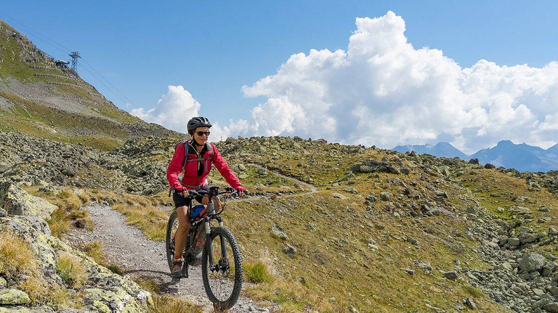 Seasonal Heart Wellness